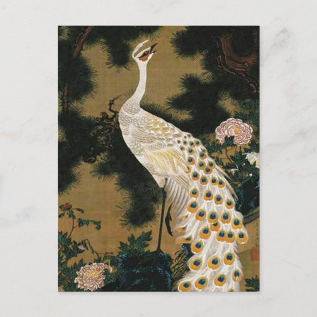 Old Pine Tree and Peacock by Ito Jakuchu Postcard (Front)