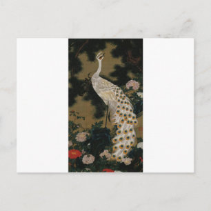 Old Pine Tree and Peacock by Ito Jakuchu Postcard