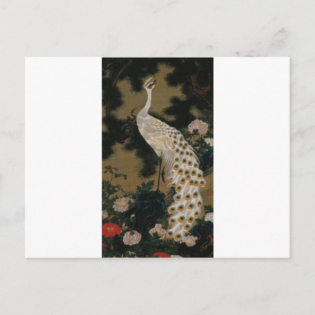 Old Pine Tree and Peacock by Ito Jakuchu Postcard (Front)