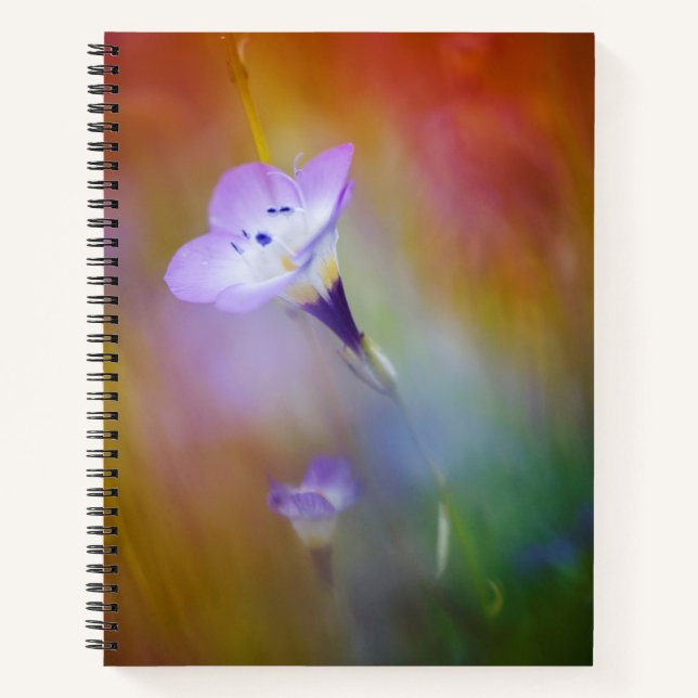 Old Point Loma Lighthouse | Cabrillo Monument Notebook (Front)