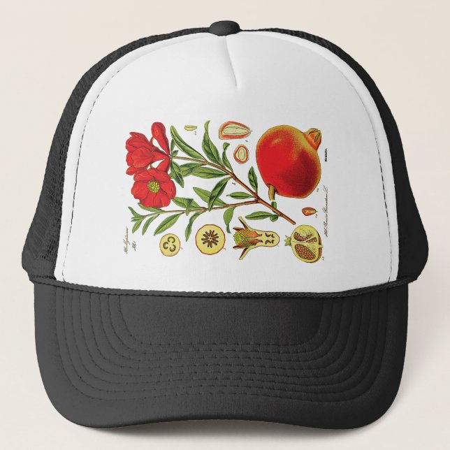 Old Pomegranate Illustration Trucker Hat (Front)