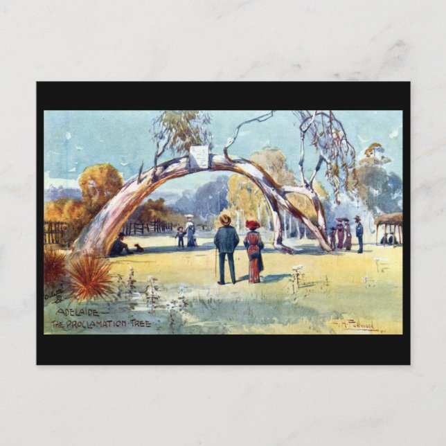 Old Postcard - Adelaide, South Australia (Front)