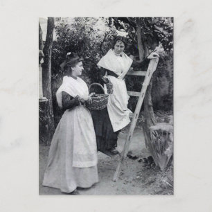 Old Postcard - Arles, Les Arlésiennes