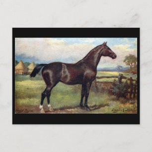 Old Postcard - English Hunter