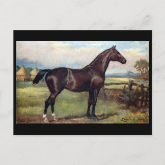 Old Postcard - English Hunter