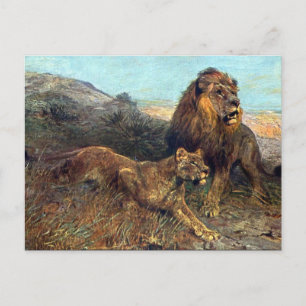 Old Postcard - Lions