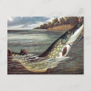 Old Postcard - Pike