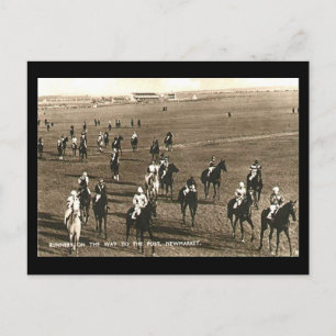Old Postcard - Racehorses at Newmarket