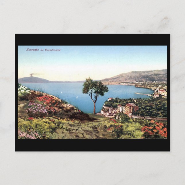 Old Postcard - Sorrento, Italy (Front)