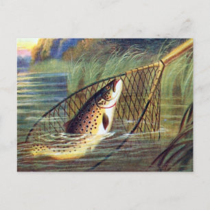 Old Postcard - Trout
