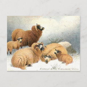 Old Postcard - Winter