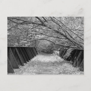 Old Railroad Bridge Postcard
