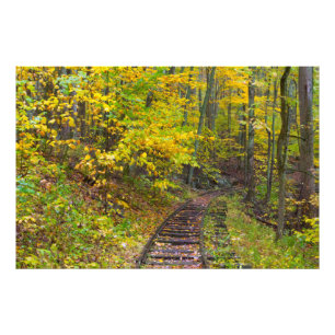 Old railroad tracks, Blue Ridge Parkway, Virginia Photo Print