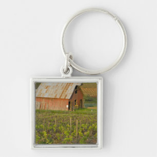 Old red barn at the edge of Zinfandel vineyard Key Ring