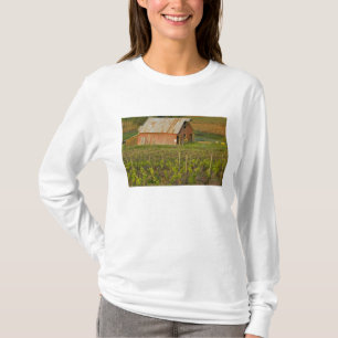 Old red barn at the edge of Zinfandel vineyard T-Shirt