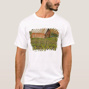 Old red barn at the edge of Zinfandel vineyard T-Shirt