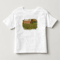 Old red barn at the edge of Zinfandel vineyard