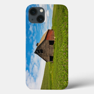 Old, red barn in field of chickpeas iPhone 13 case