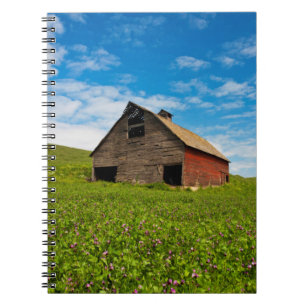 Old, red barn in field of chickpeas spiral notebook