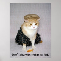 Old Scottish Fold Saying