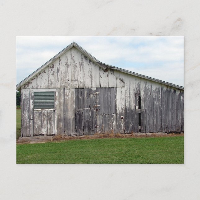 Old Shed Postcard (Front)