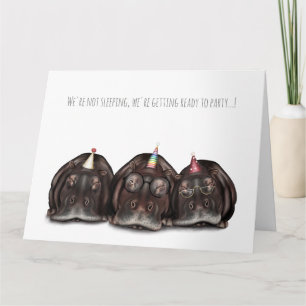 Old Sleepy Hippos Birthday Card! Card