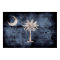 Old South Carolina Flag;