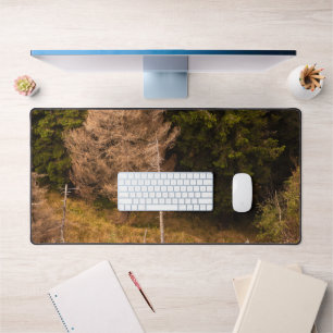 Old spruce tree standing proud desk mat