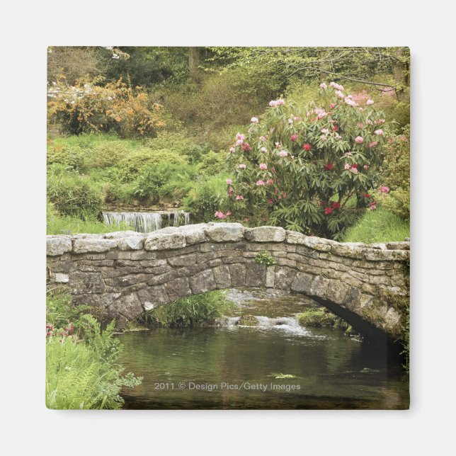 Old Stone Bridge Across A Stream In Dartmoor Park Magnet (Front)