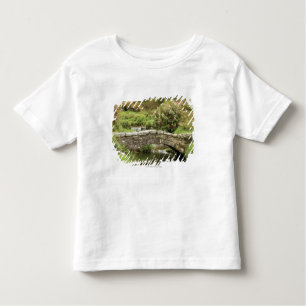 Old Stone Bridge Across A Stream In Dartmoor Park Toddler T-Shirt