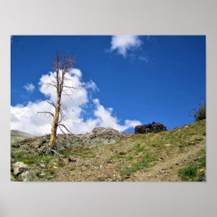 Old Stone Cabin at Gaylor Lakes, Tioga Pass, CA Poster