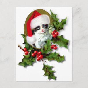 Old Style Vintage Christmas Kitten Holiday Postcard