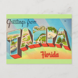 Old Tampa Florida Postcard