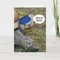 Old Tortoise Graduate with Blue Cap