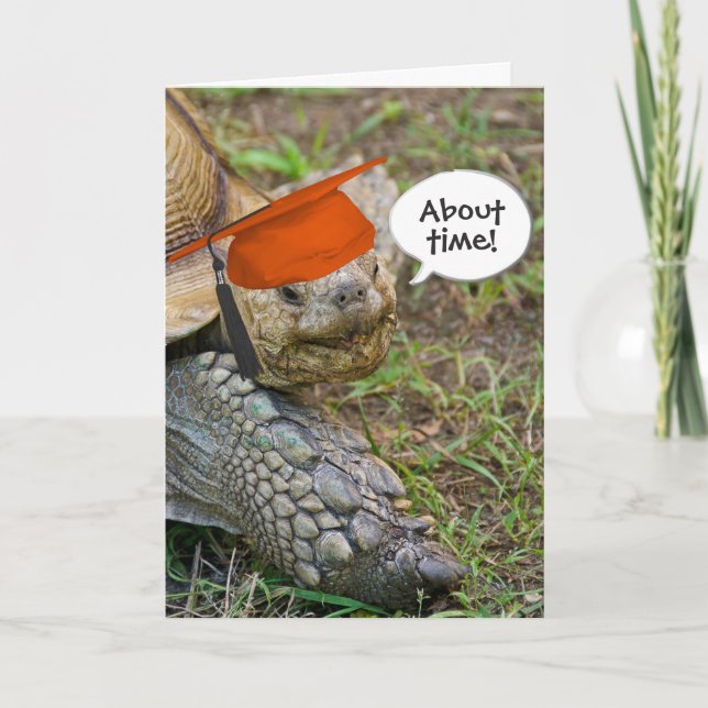 Old Tortoise Graduate with Orange Cap Card (Front)