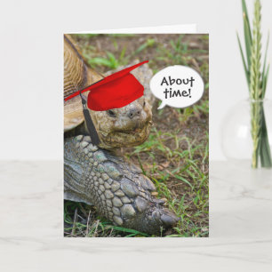 Old Tortoise Graduate with Red Cap Card