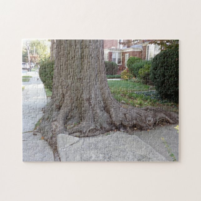 Old Tree and Roots Damaging Sidewalk JigSaw Puzzle (Horizontal)