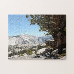 Old Tree at Yosemite National Park Jigsaw Puzzle