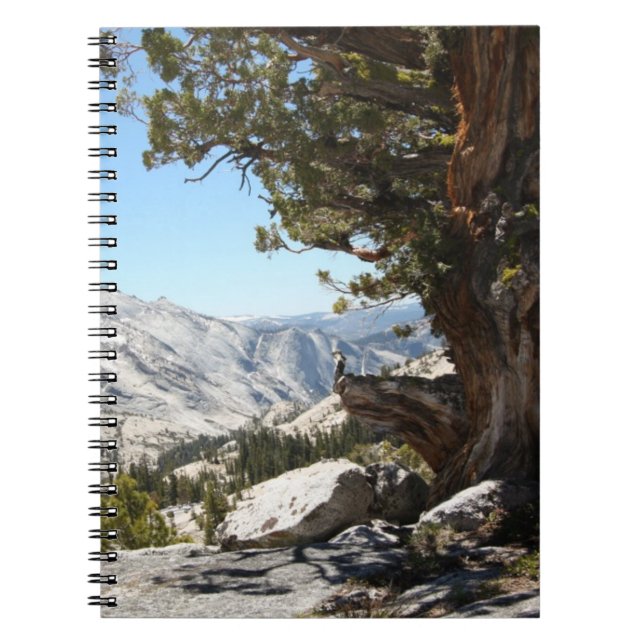 Old Tree at Yosemite National Park Notebook (Front)