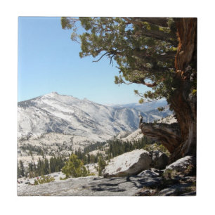 Old Tree at Yosemite National Park Tile