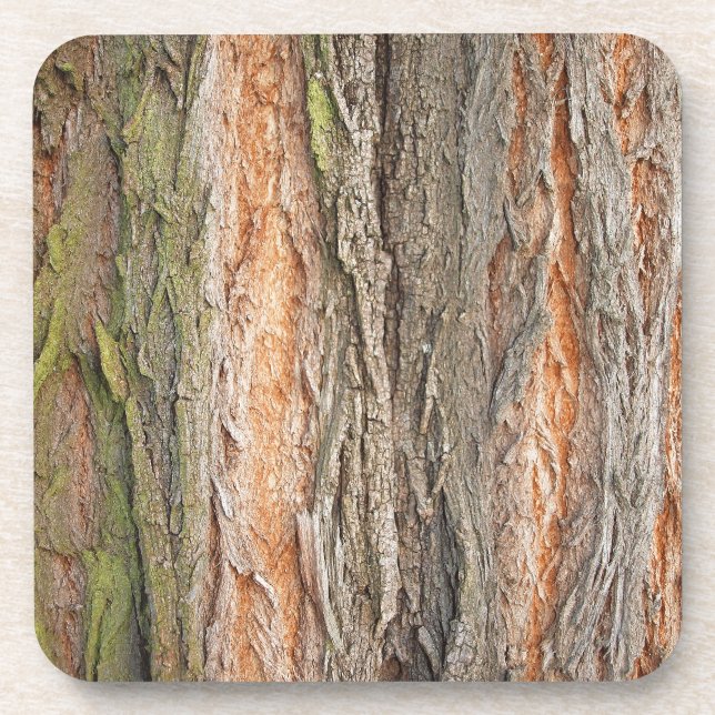 old tree coaster (Front)