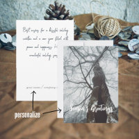 Old Tree in a Misty Forest