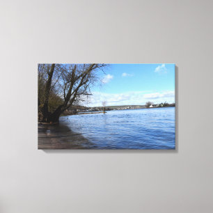 Old tree on the riverbank by Nierstein in Germany Canvas Print
