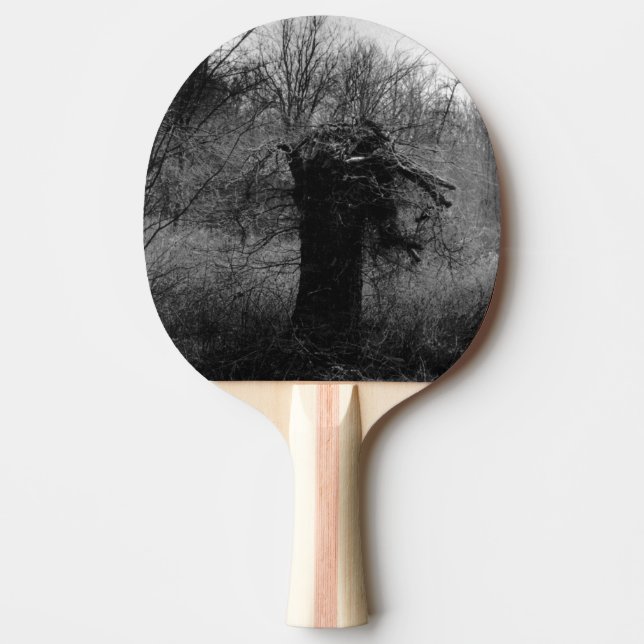 Old Tree Ping Pong Paddle (Front)