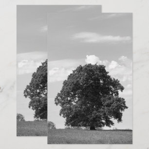 Old tree stationery