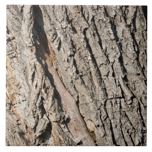 Old trunk pattern tile (Front)