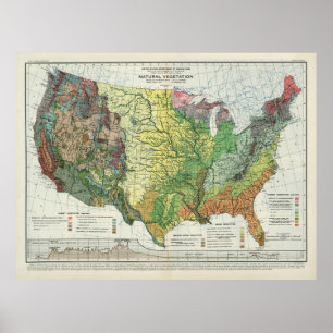 Old US Natural Vegetation Map (1923)  Poster