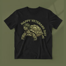 Old Veteran Turtle