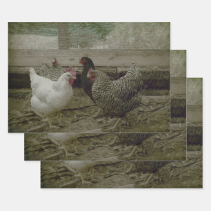 Old Vintage Barnyard Country Chicken Wrapping Pape Wrapping Paper Sheet