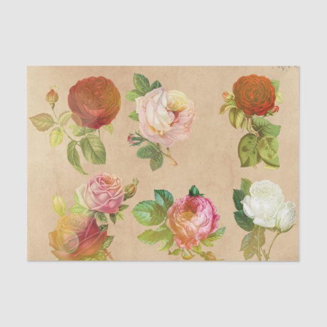 Old Vintage Rose Floral Print Tissue Paper (Front)